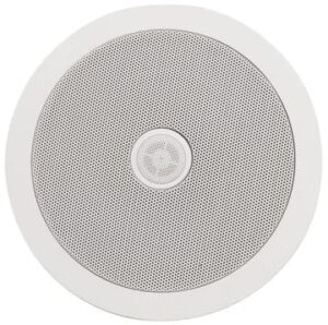 Ceiling Speaker with Directional Tweeters 6.5inch