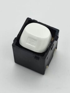 NPE Switch Mechanism