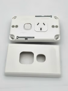 NPE Single Power Point Horizontal 10A