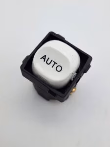 NPE Switch Auto Mechanism
