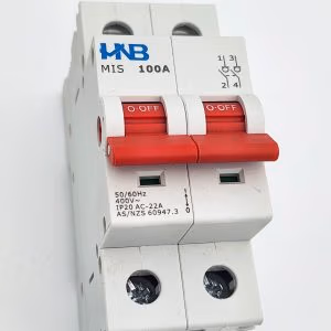 Isolator/Main Switch 2 Pole 100A-MIS