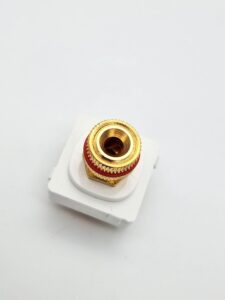 NPE Switch Red Speaker Mechanism